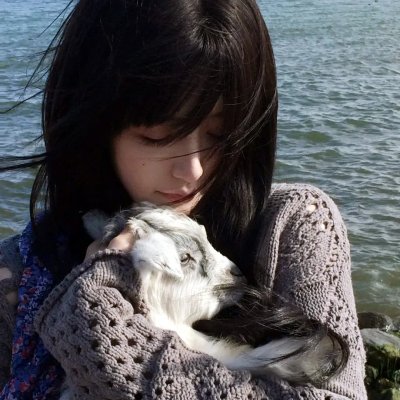 我的单板女孩第二季