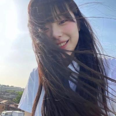战地情莺